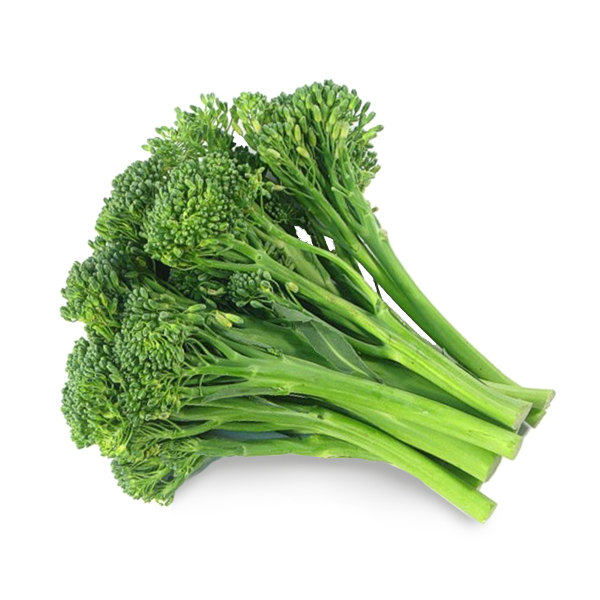 澳洲西蘭花苗(Broccolini)*