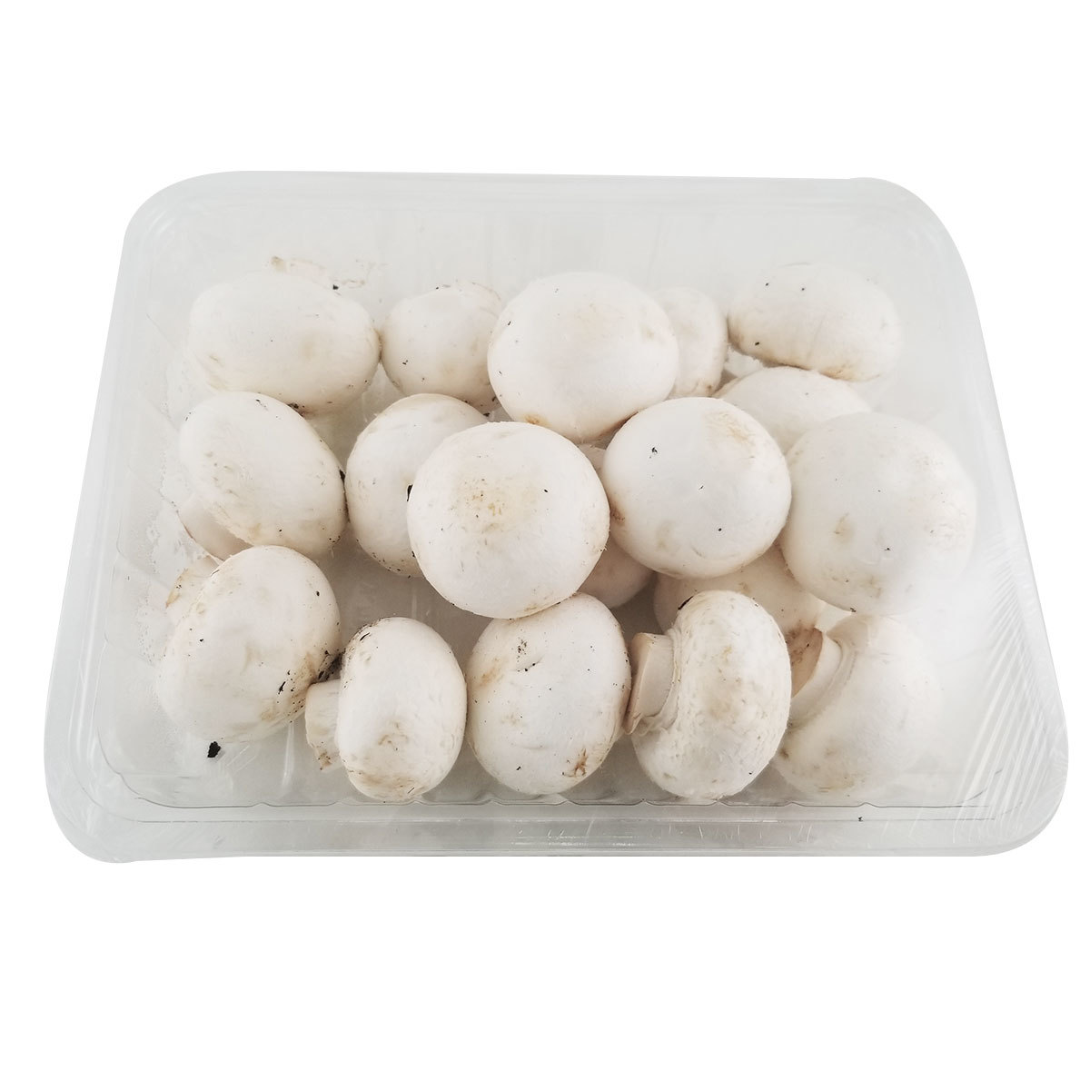 中國有機忌廉白蘑菇 - 500克