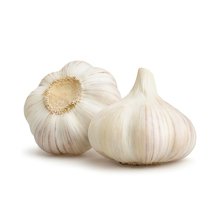 Organic Garlic 100g - Holland*