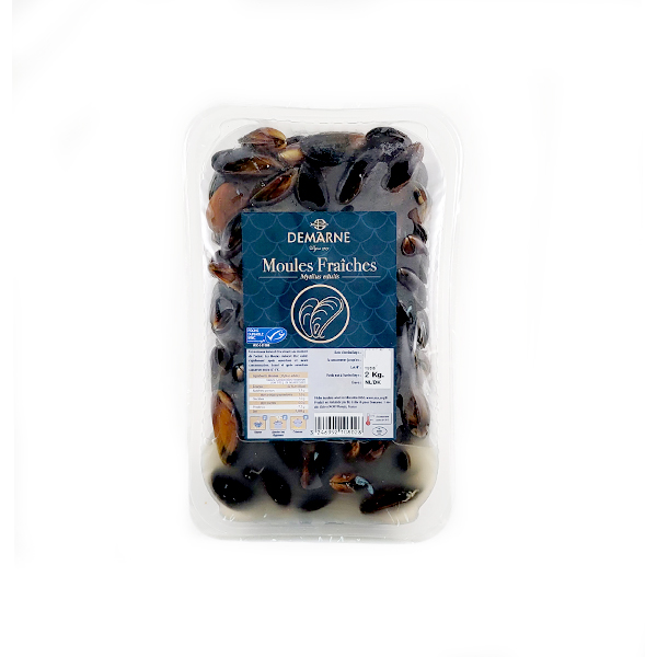 Live mussel 2kgs -Netherlands* 