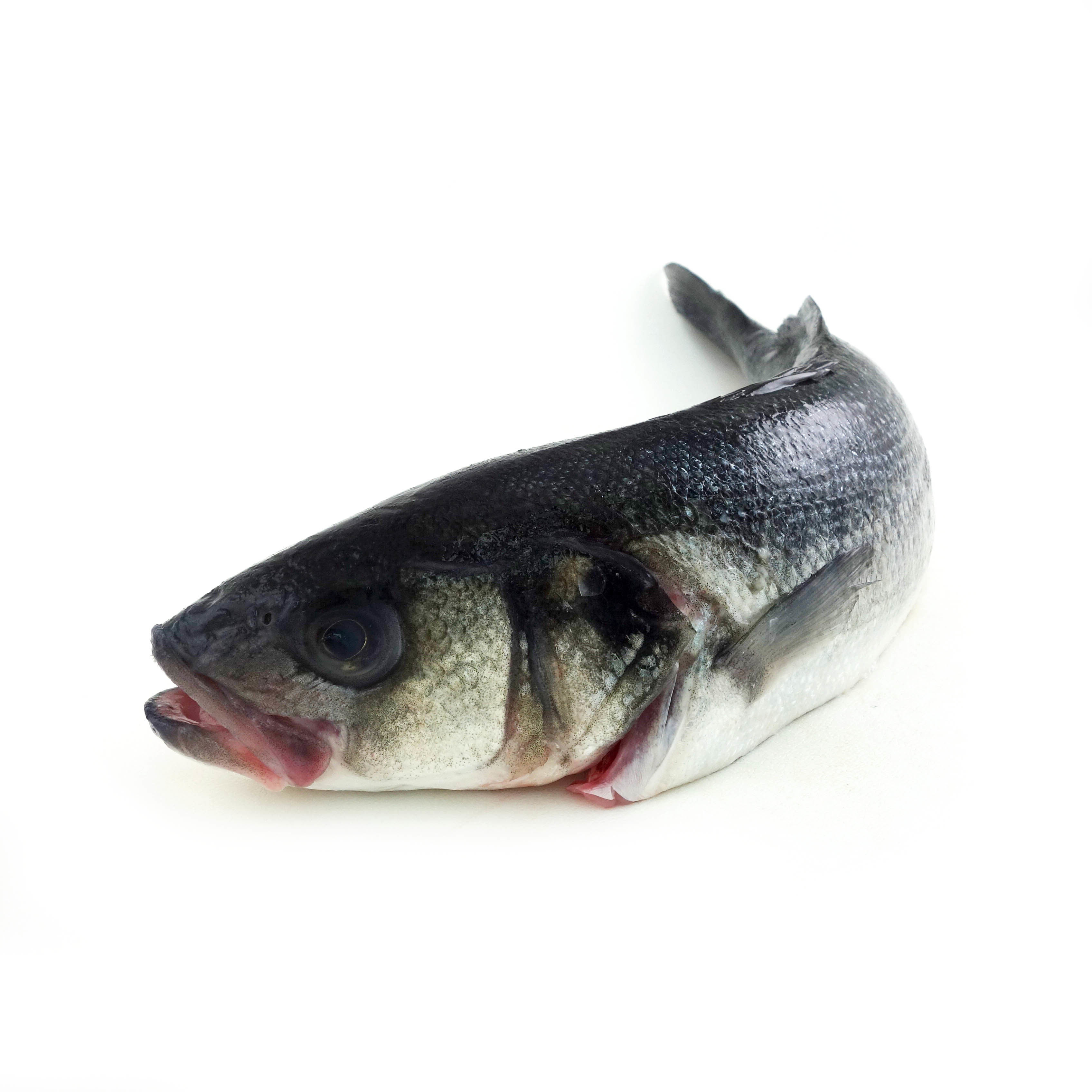 法國野生原條海鱸魚(Seabass)- 已去鰓及內臟
