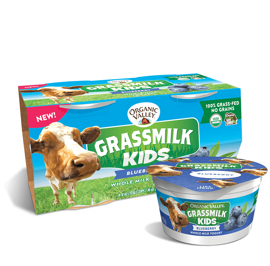 Organic Valley Blueberry Whole Grass Milk Kids Yogurt (4 cups) - US* 