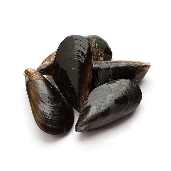 Live Organic Black Mussels 1kg - AUS*