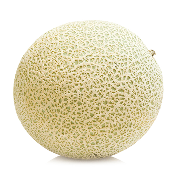 Cantaloupe Melon - Italy