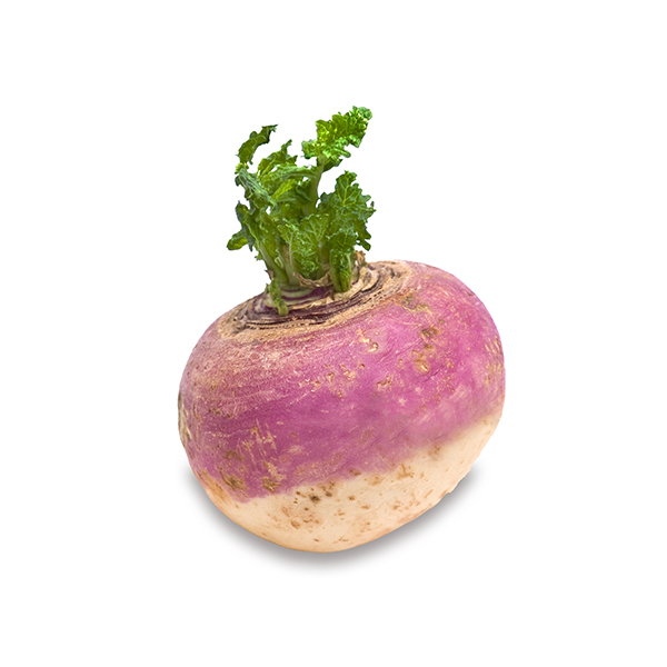 澳洲瑞典蕪菁/大豆菜(Swede/Rutabage turnip)