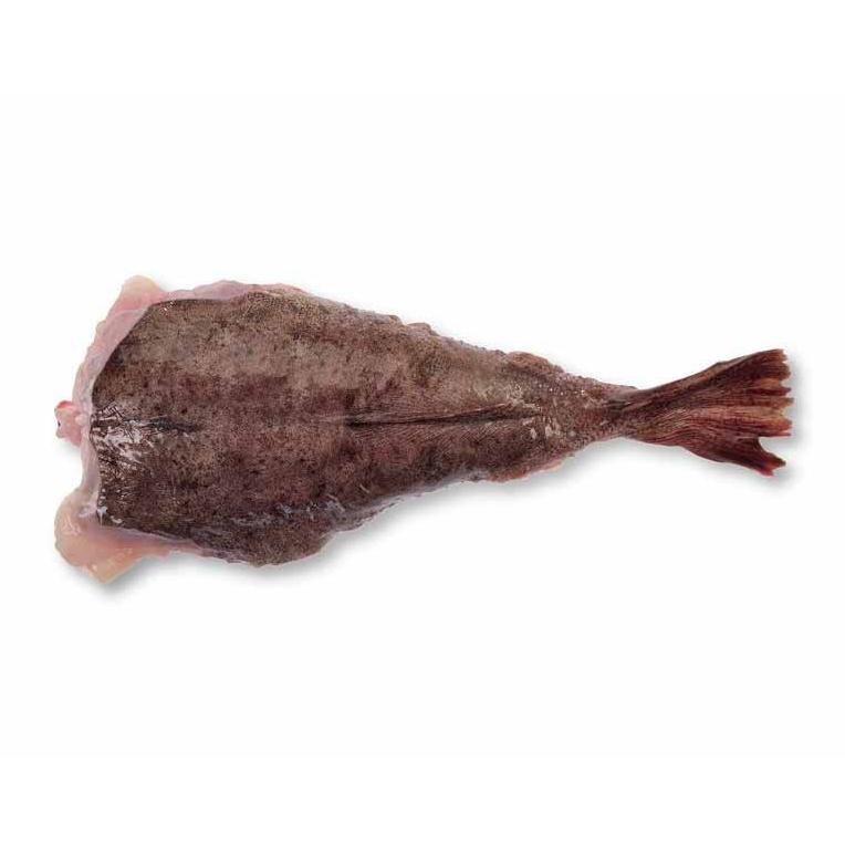 French Wild Monkfish Tail